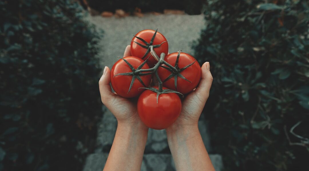 Photo Local produce