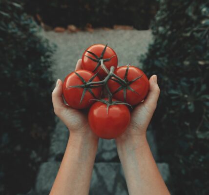 Photo Local produce