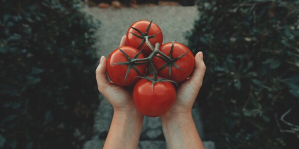Photo Local produce