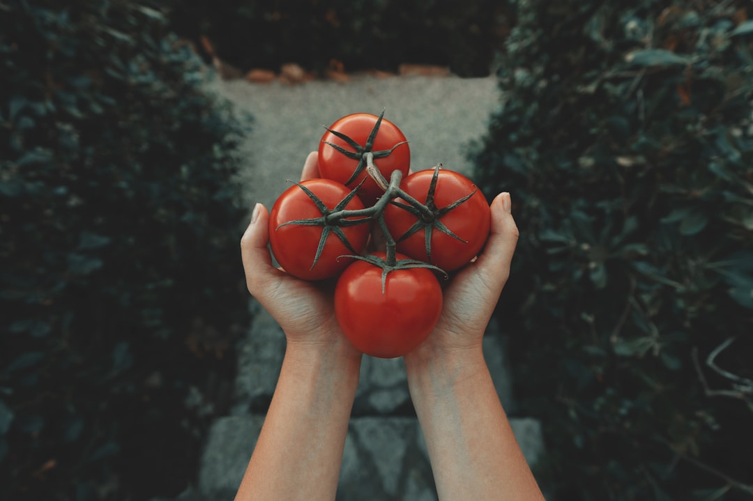 Photo Local produce
